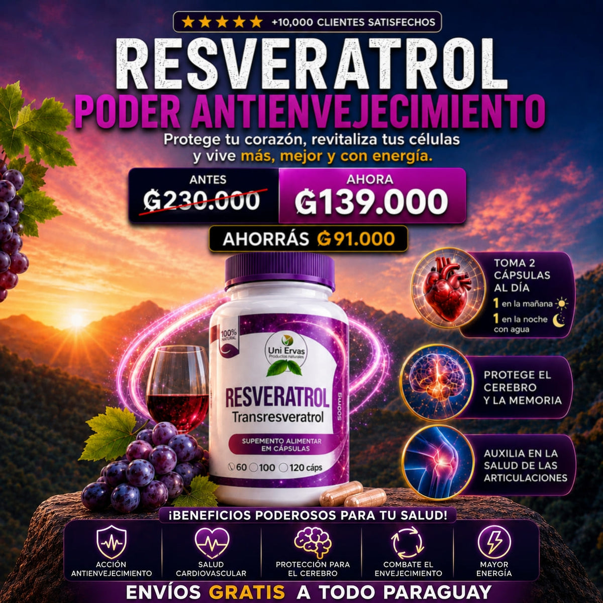 RESVERATROL - ANTIENVEJECIMIENTO CELULAR